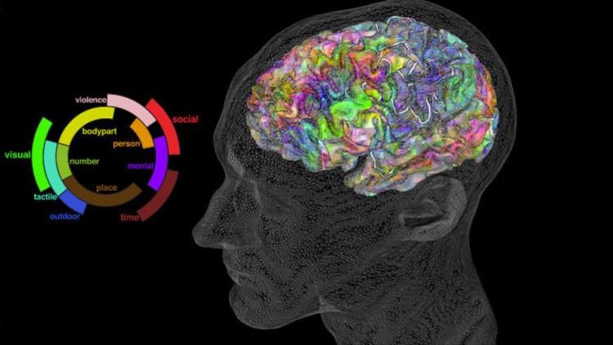 Esquema del atlas semántico del cerebro que permite leer la mente.