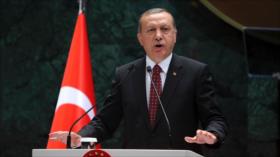 Erdogan acusa a la UE de refugio seguro para grupos terroristas