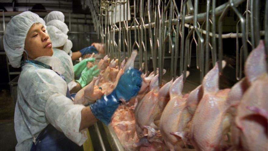 Trabajadores de la industria avícola de Estados Unidos.

