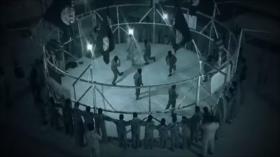 Informe: Expertos militares turcos entrenan a los terroristas en Alepo