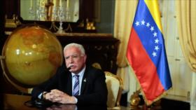 Canciller palestino: Venezuela es vocero de los países marginados