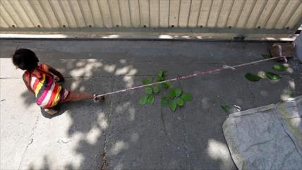 Padres indios atan a su niña de 15 meses a piedra cuando trabajan