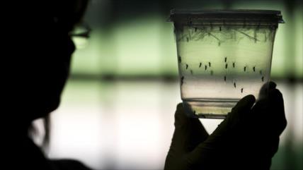 Hay 157 mujeres embarazadas con zika en Estados Unidos