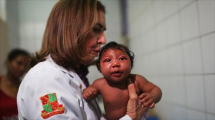 OMS: Zika refleja abandono de políticas antimosquitos en América Latina