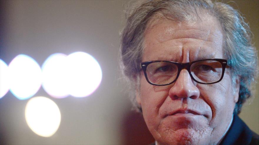Secretario general de la Organización de los Estados Americanos (OEA), Luis Almagro.