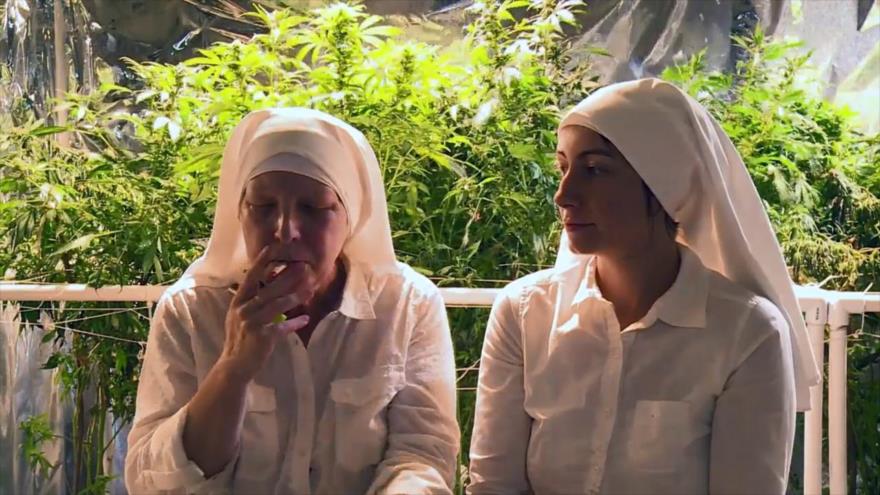 Conozcan a las ‘monjas’ que quieren curar al mundo con marihuana