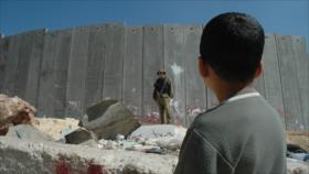 Muro subterráneo: Israel lleva su barrera antipalestina hasta el subsuelo
