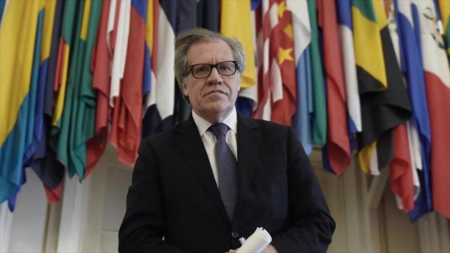 El secretario general de la Organización de Estados Americanos (OEA), Luis Almagro.