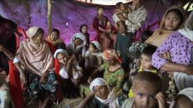 ONU: Musulmanes rohingya son víctimas de 