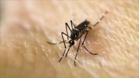 Nace un bebé completamente sano de madre con zika 