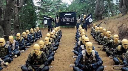 Revelan nuevos casos de VIH entre terroristas de Daesh en Siria
