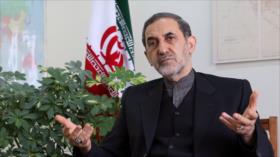 Alto político iraní: La resistencia continuará hasta la victoria de Palestina ante Israel