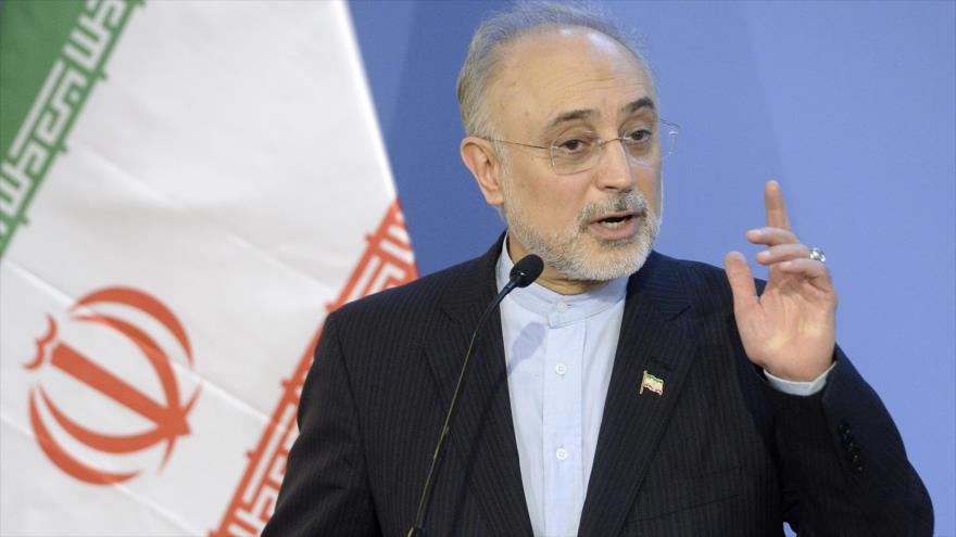 El jefe de la Organización de Energía Atómica de Irán (OEAI), Ali Akbar Salehi.