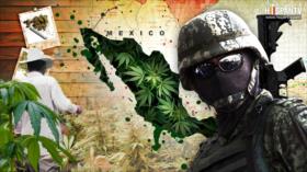 La semilla de la discordia