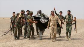 Informe: Daesh perdió 12% de su territorio en Irak y Siria en 2016