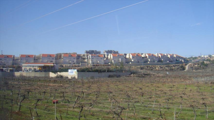 Asentamientos ilegales israelíes en Kiryat Arba, situada en Cisjordania ocupada.