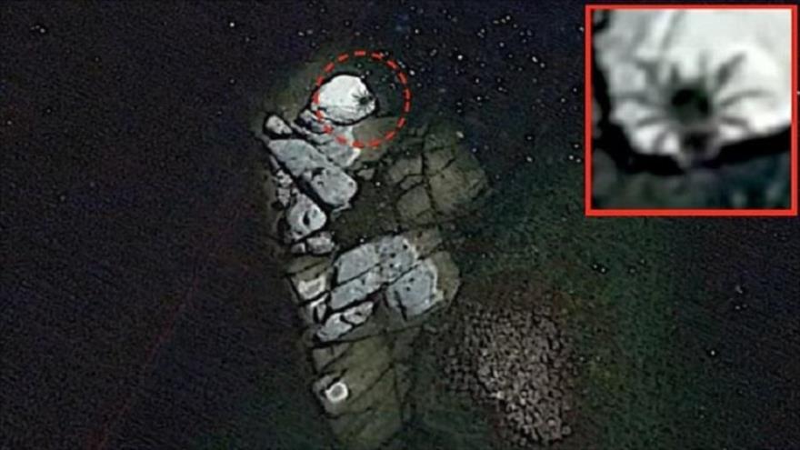 La imagen del insecto gigante obtenida por Google Earth frente la costa mexicana. 