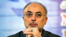 Irán: El tiempo aclarará la precisión de alegaciones de Occidente sobre acuerdo nuclear