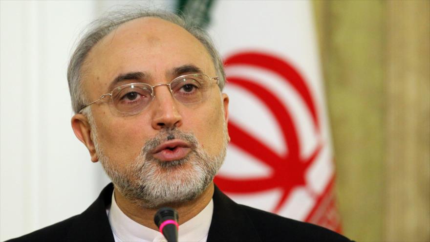 El jefe de la Organización de Energía Atómica de Irán (OEAI), Ali Akbar Salehi.