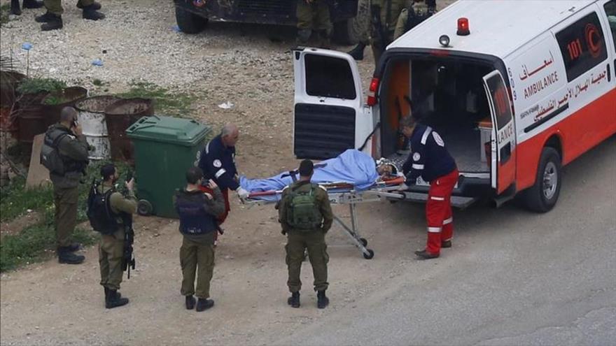 ‘Israel roba por sistema órganos de palestinos muertos en choques’ | HISPANTV