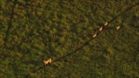 Irán - 1. Trabajos nocturnos 2. Comidas típicas de Qazvin 3. Vehículos ecológicos 4. Museo del Dr. Hesabi