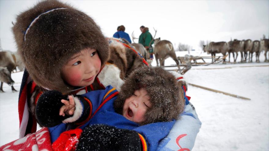 Niños de la etnia Nenet caminan entre renos en Siberia (Rusia).