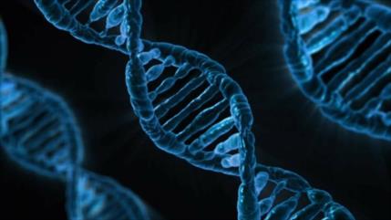 Científicos buscan tratar cáncer editando el genoma humano