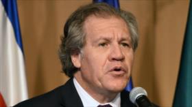 La OEA se ofrece a observar el referendo revocatorio en Venezuela