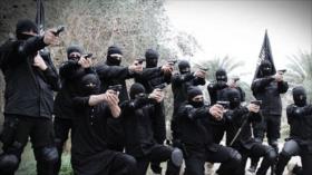 Informe: Mayoría de miembros de Daesh no tiene ni idea del Islam