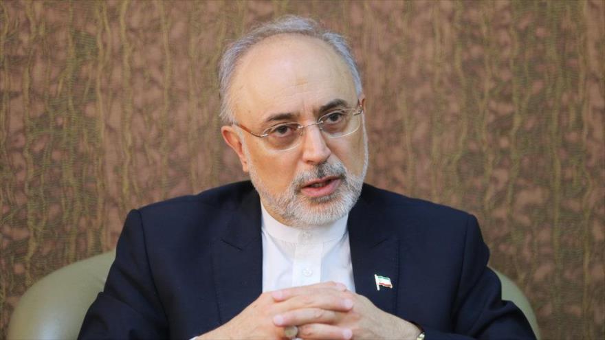 El jefe de la Organización de Energía Atómica de Irán (OEAI), Ali Akbar Salehi. 
