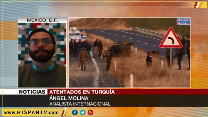 ‘Despotismo de Erdogan criminaliza todo tipo de oposición turca’