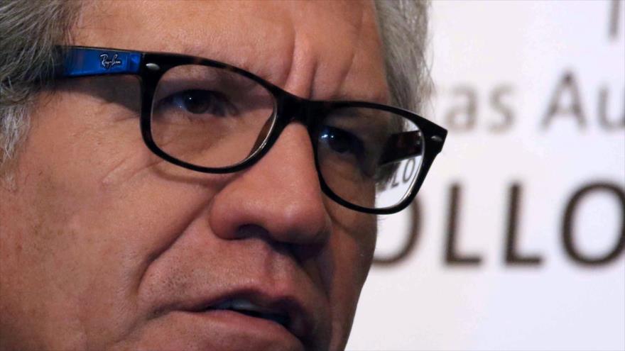 El secretario general de la Organización de Estados Americanos (OEA), Luis Almagro. 