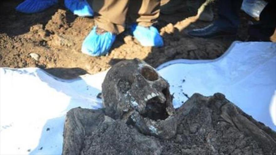 Esta foto difundida por la Dirección de fosas comunes de la agencia de Kurdistán irquí muestra un esqueleto exhumado de una fosa común que fue encontrada con los cuerpos de izadíes en la montaña de Sinyar en la provincia de Nínive.