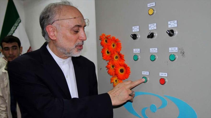 El jefe de la Organización de la Energía Atómica de Irán (OEAI), Ali Akbar Salehi, inaugura una serie de investigaciones nucleares en el reactor de investigación de Teherán (capital), agosto de 2014.