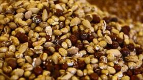 Irán - 1. Festival de Teatro de títeres 2. Avances donación de órganos 3. Boynurd