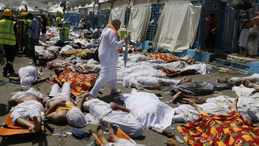 Cuerpos de peregrinos muertos en una estampida en Mina, 24 de septiembre de 2015.