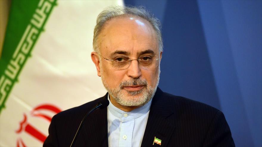 Ali Akbar Salehi, presidente de la Organización de la Energía Atómica de Irán (OEAI).