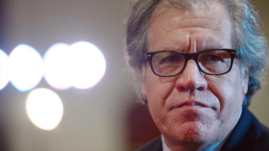 El secretario de la Organización de Estados Americanos (OEA), Luis Almargo, durante el quinto Foro Internacional de Análisis Político en la capital salvadoreña, San Salvador, 12 de abril de 2016.