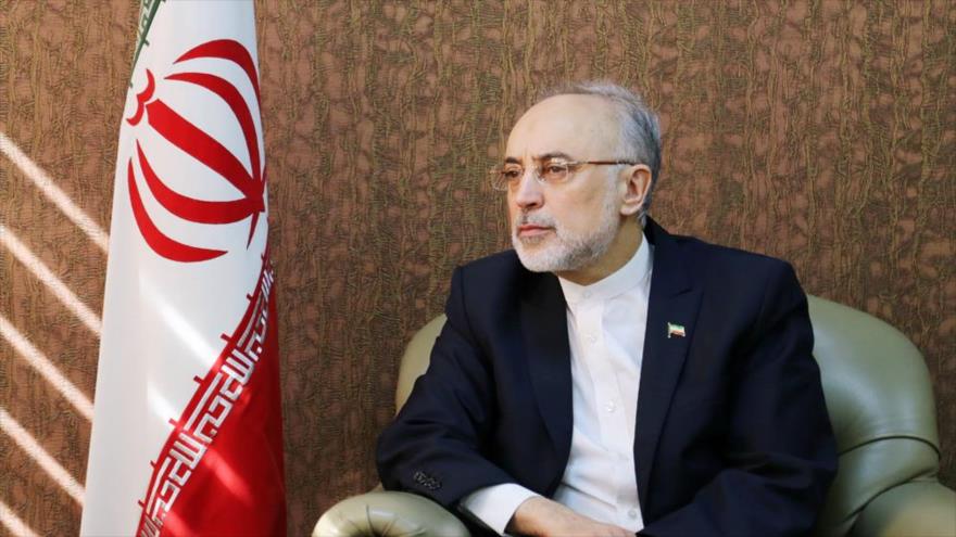 El presidente de la Organización de la Energía Atómica de Irán (OEAI), Ali Akbar Salehi.