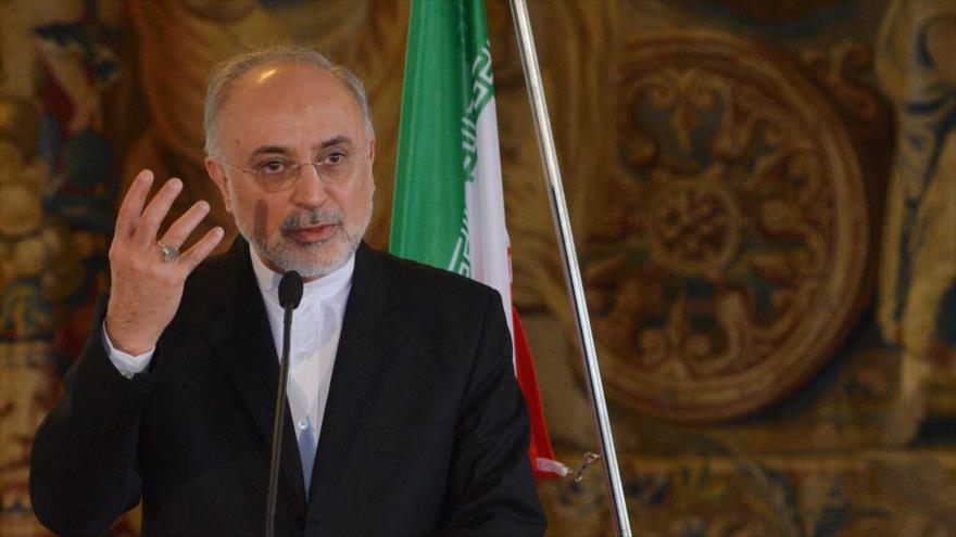 El jefe de la Organización de Energía Atómica de Irán (OEAI), Ali Akbar Salehi.