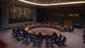 CSNU debatirá plan para sacar a terroristas de Al-Nusra de Alepo