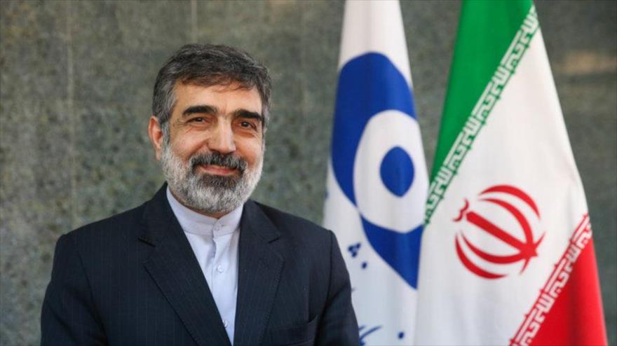 El portavoz de la Organización de Energía Atómica de Irán (OEAI), Behruz Kamalvandi.