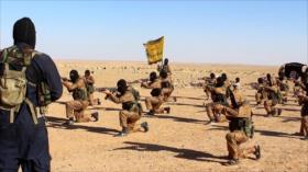 Daesh busca radicar en los Balcanes ante derrotas en Siria e Irak