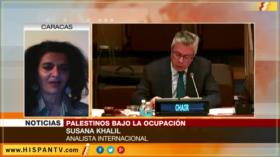 Israel violando los DDHH busca exterminar a los palestinos