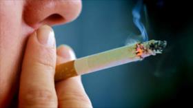 Un paquete diario de tabaco causa 150 mutaciones cancerígenas