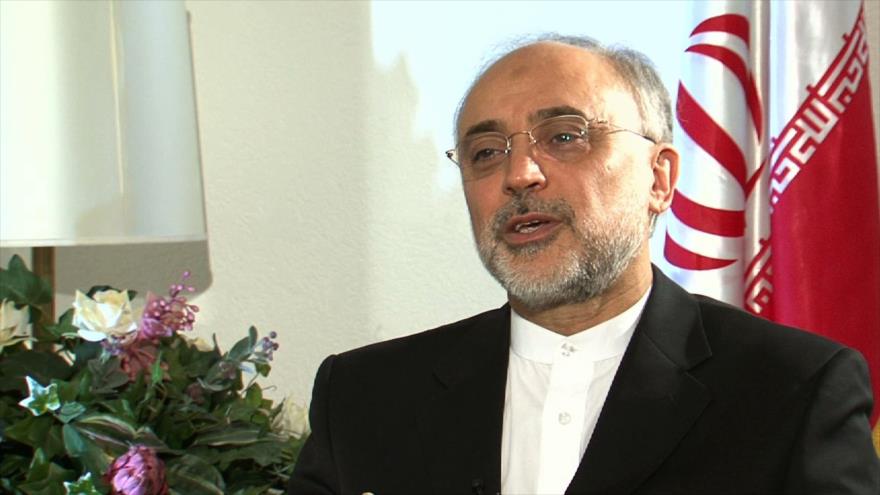 Presidente de la Organización de Energía Atómica de Irán (OEAI), Ali Akbar Salehi.