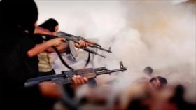 Daesh amenaza abiertamente con un baño de sangre el 8-N en EEUU