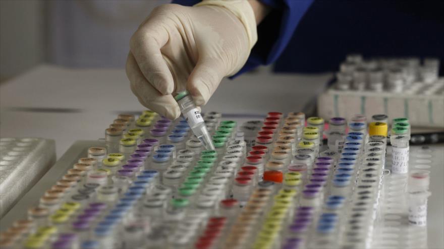 Material genético humano que se almacena en un laboratorio en Múnich (Alemania), 23 de mayo de 2011.