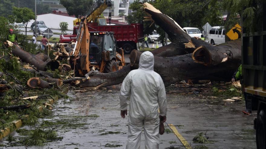 Trabajadores panameños, reunidos en la Ciudad de Panamá, capital, donde el huracán Otto causó la muerte de una persona, 22 de noviembre de 2016.