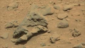¿Vida extraterrestre en Marte? Hallan allí un cráneo de dinosaurio